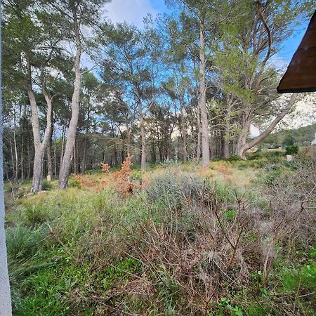 A l'Orée des pins - Gite indépendant avec baignoire balnéo et Home Cinéma en sup - Voir info de l'hôte Cuges-les-Pins Esterno foto