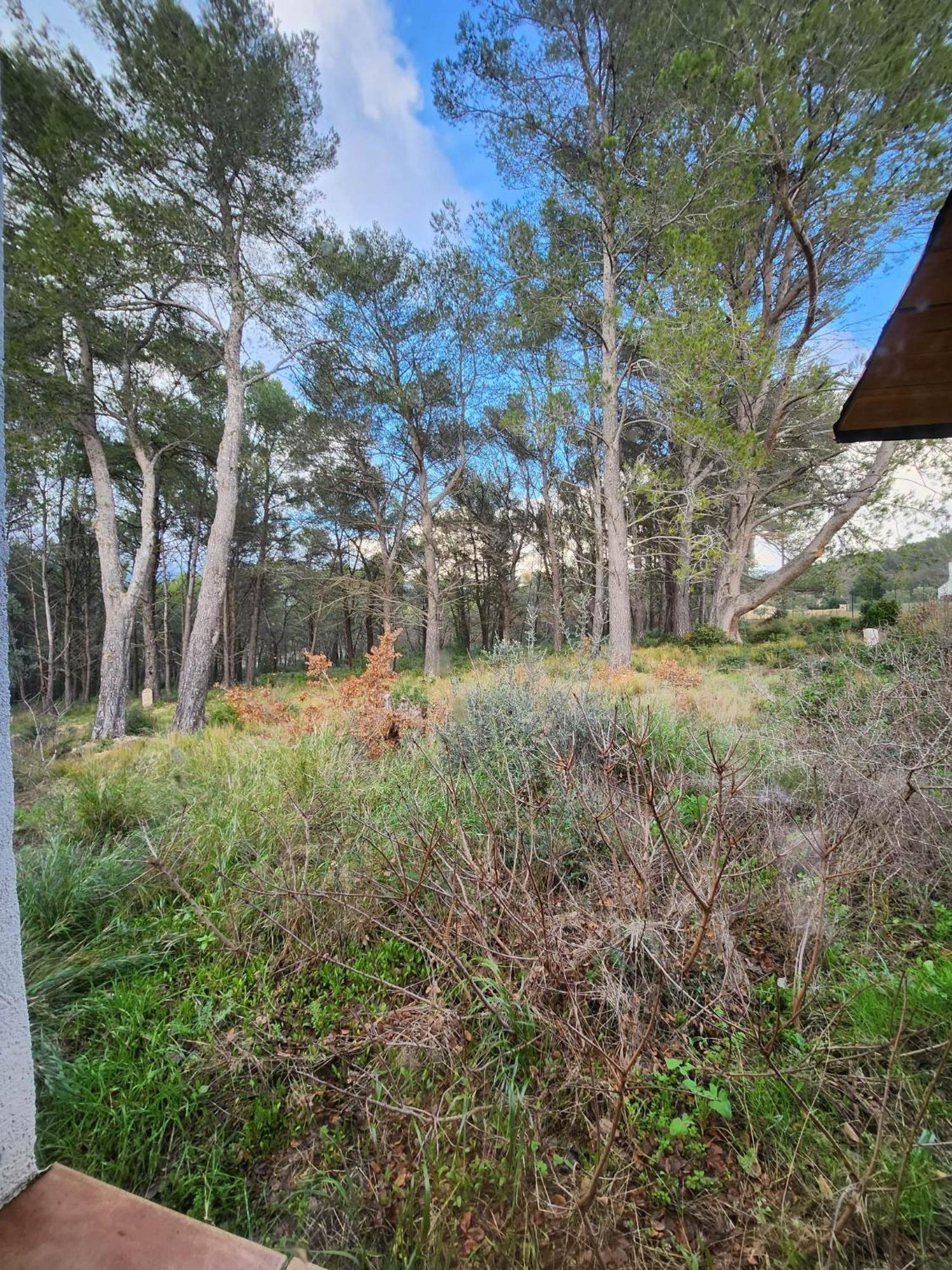 A l'Orée des pins - Gite indépendant avec baignoire balnéo et Home Cinéma en sup - Voir info de l'hôte Cuges-les-Pins Esterno foto